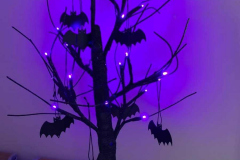 The tree with the LEDs on in the dark