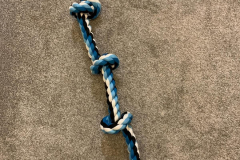 The toy stretched out