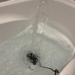 Photo of the pump running in the bath, showing how high it can pump water vertically