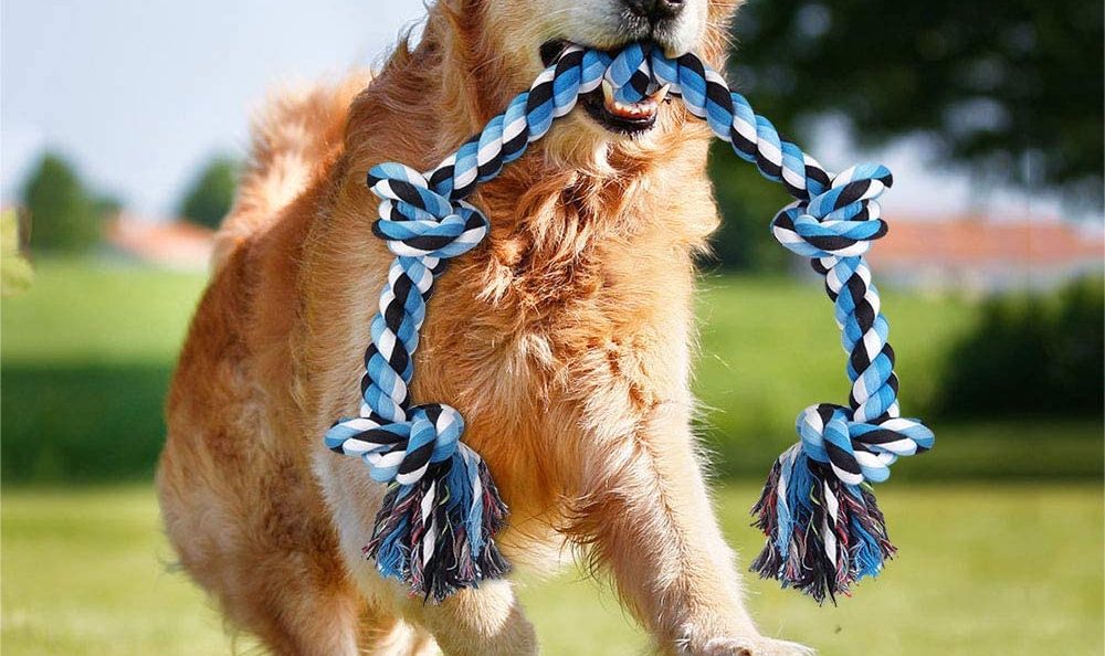Hipat Dog Rope Toy for Aggressive Chewers Product Image