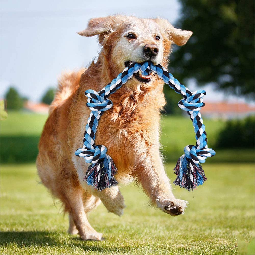 Hipat Dog Rope Toy for Aggressive Chewers